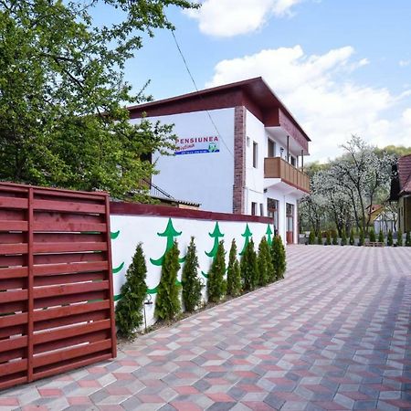 Pensiunea Cristina Vişeu de Sus المظهر الخارجي الصورة